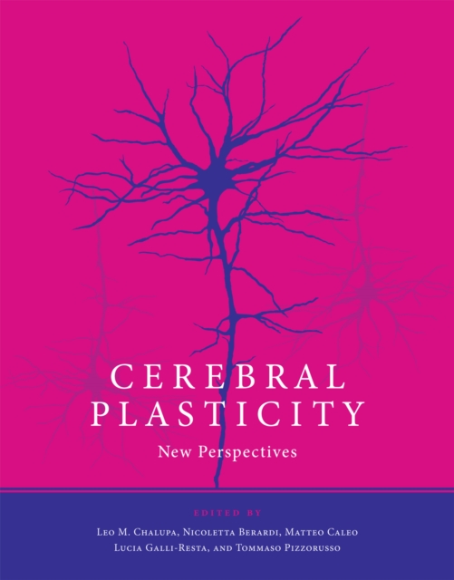 Cerebral Plasticity