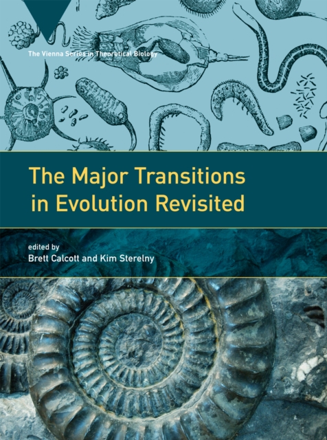 Major Transitions in Evolution Revisited