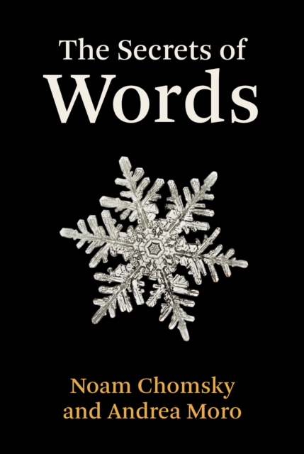 Secrets of Words