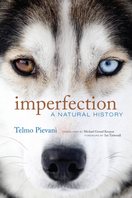 Imperfection