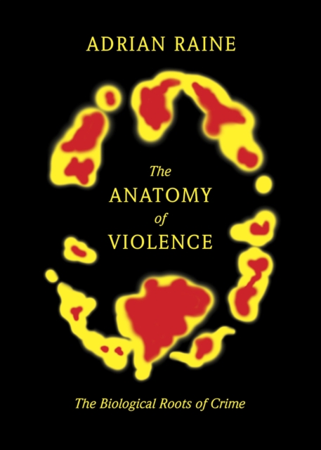 Anatomy of Violence