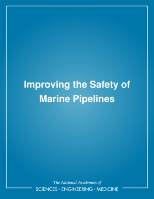 Improving the Safety of Marine Pipelines