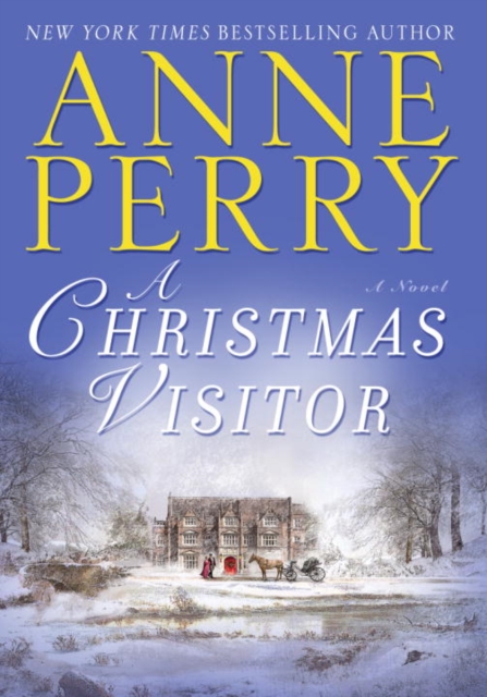Christmas Visitor