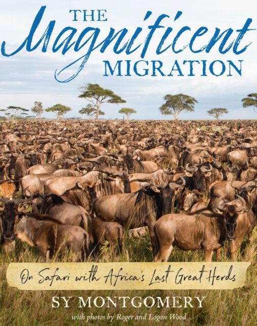 Magnificent Migration