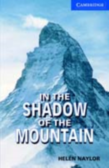In the Shadow of the Mountain Level 5