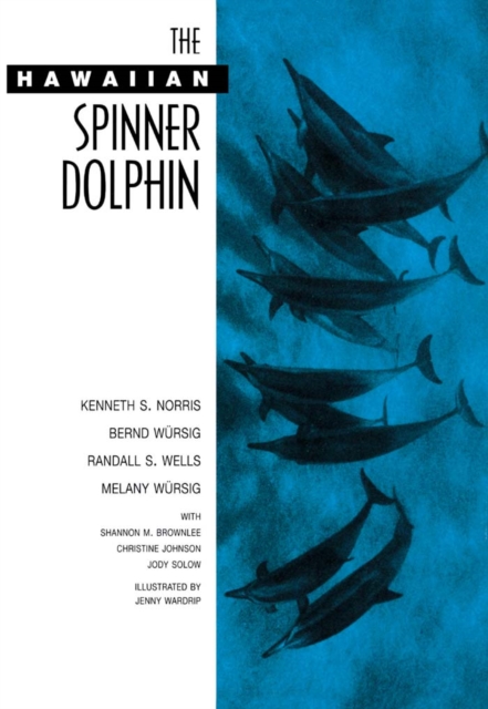 Hawaiian Spinner Dolphin