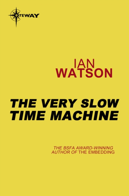 Very Slow Time Machine
