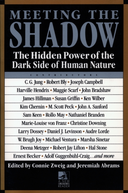 Meeting the Shadow