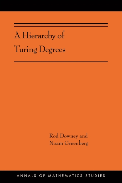 Hierarchy of Turing Degrees