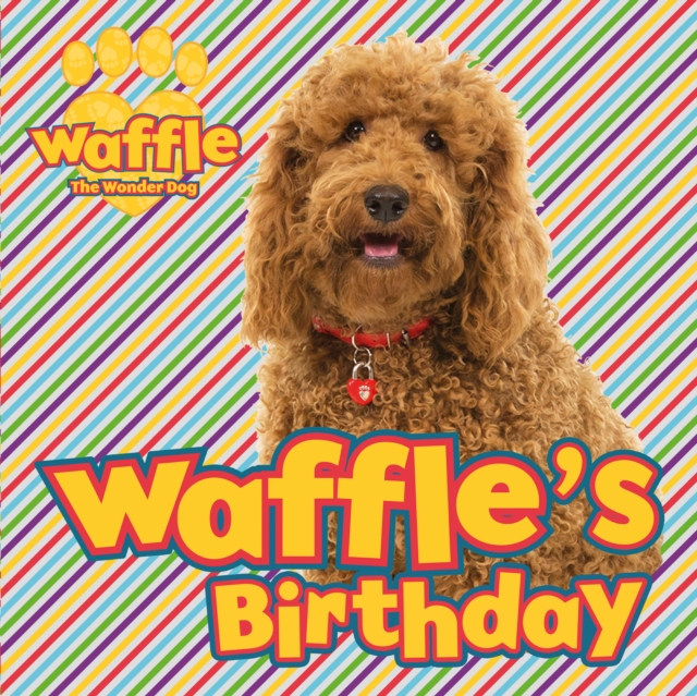 Waffle''s Birthday