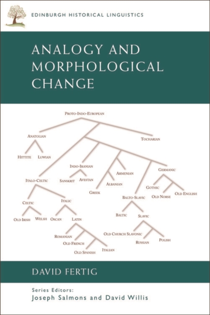 Analogy and Morphological Change