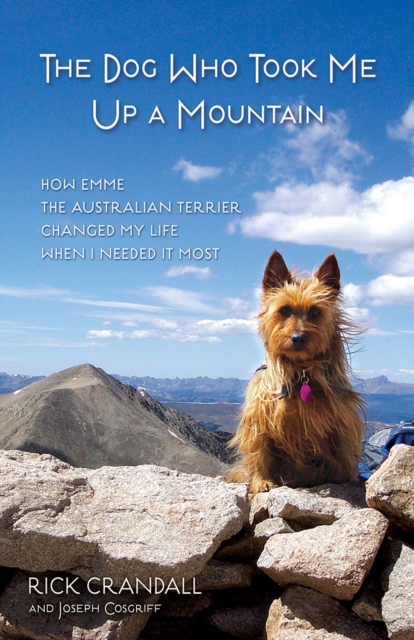 Dog Who Took Me Up a Mountain