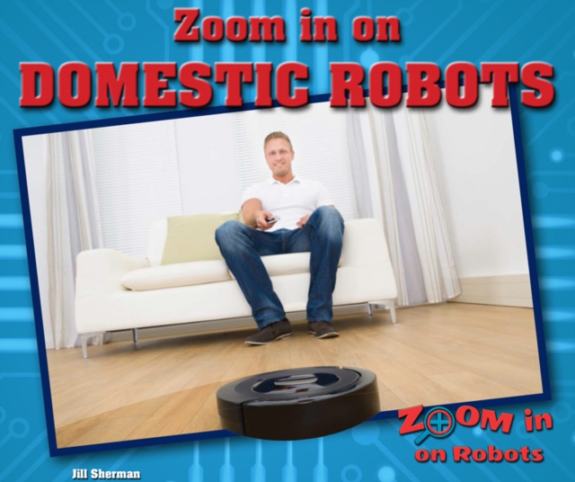 Zoom in on Domestic Robots
