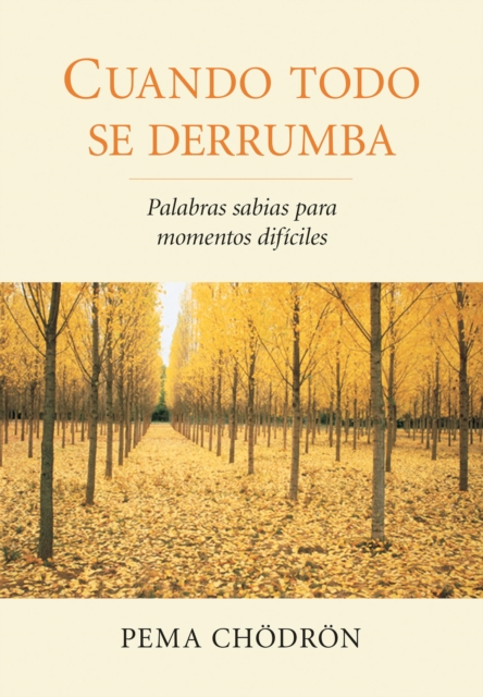 Cuando todo se derrumba