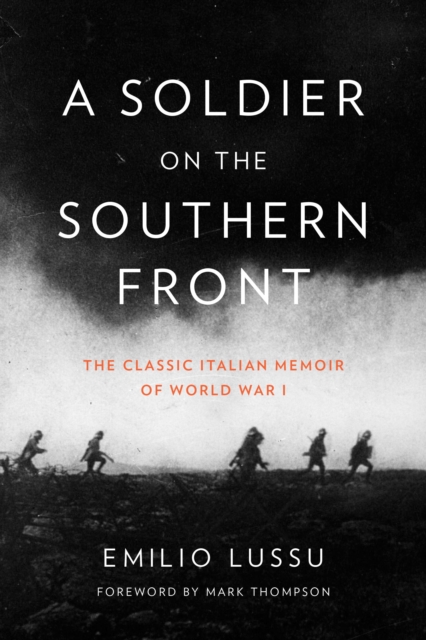 Soldier on the Southern Front