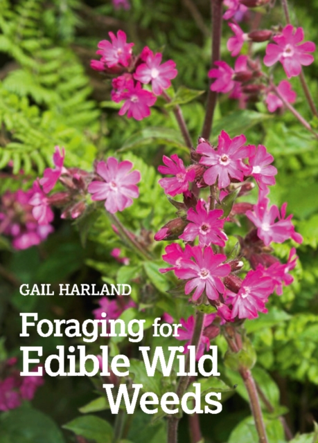 Foraging for Edible Wild Plants