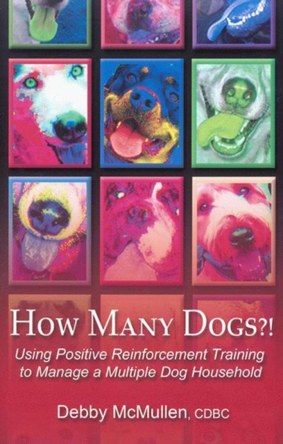HOW MANY DOGS