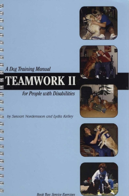 TEAMWORK II