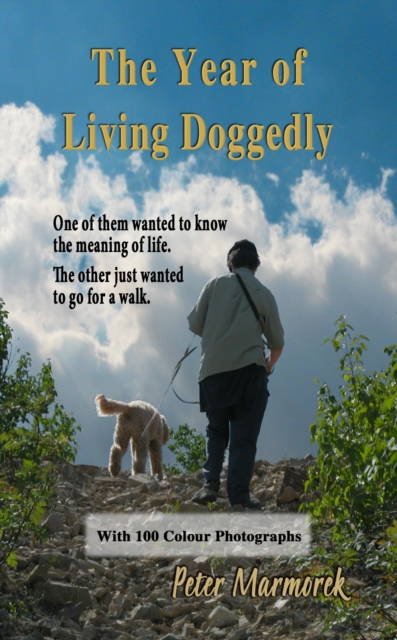 Year of Living Doggedly