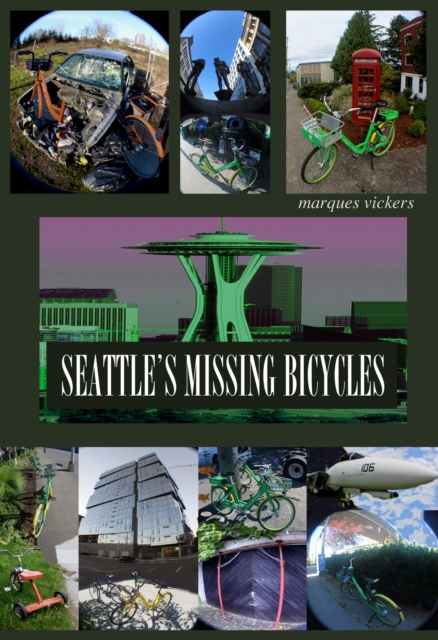 Seattle's Missing Bicycles