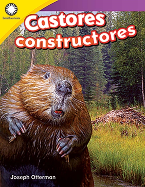 Castores constructores
