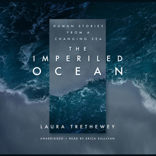 Imperiled Ocean