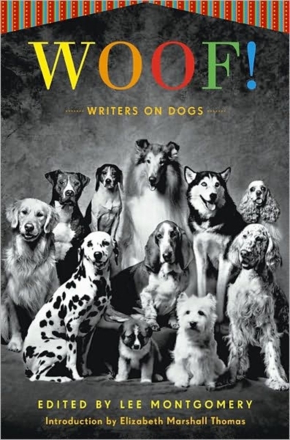 Woof!
