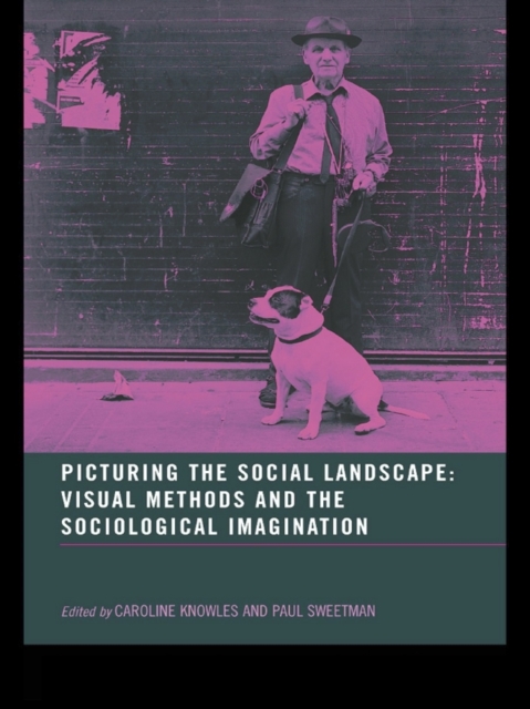 Picturing the Social Landscape