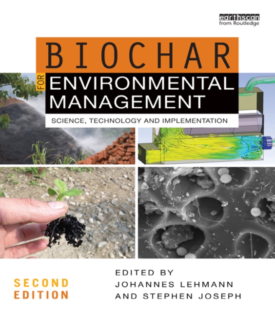 Biochar for Environmental Management