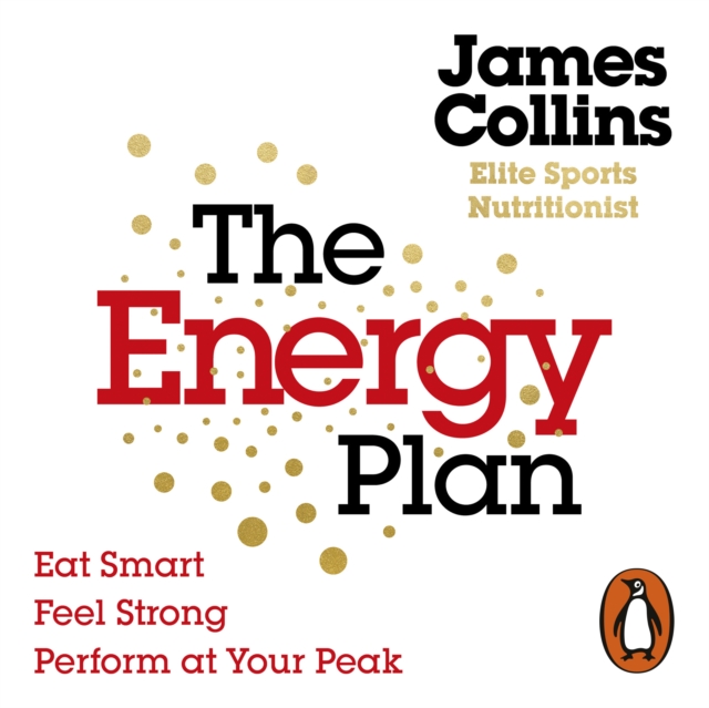 Energy Plan
