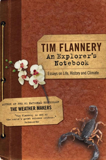 Explorer's Notebook