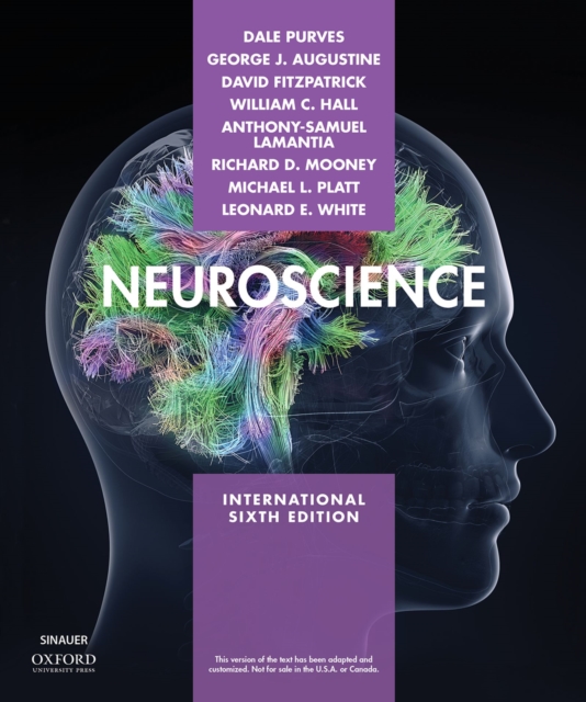 Neuroscience XE