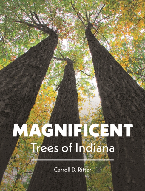 Magnificent Trees of Indiana