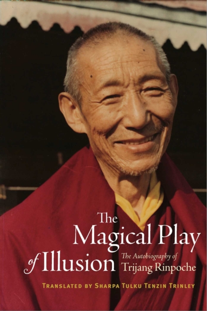 Magical Play of Illusion 
