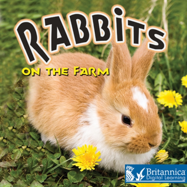 Rabbits on the Farm