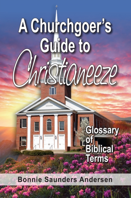 Churchgoer's Guide to Christianeeze