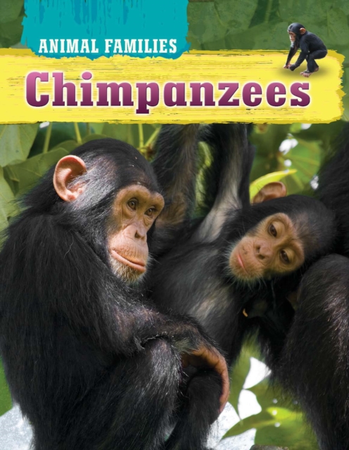 Chimpanzees