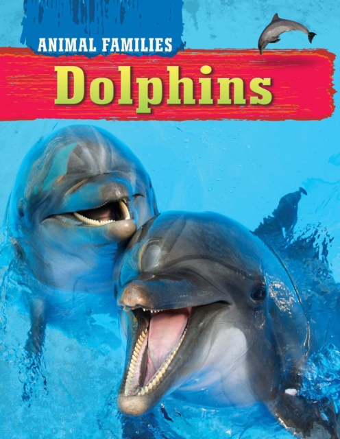 Dolphins