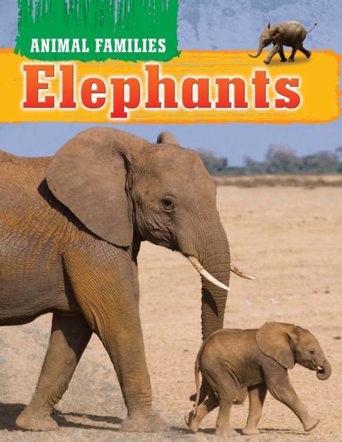 Elephants