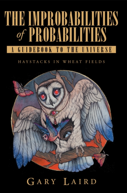 Improbabilities of Probabilities: A Guidebook to the Universe